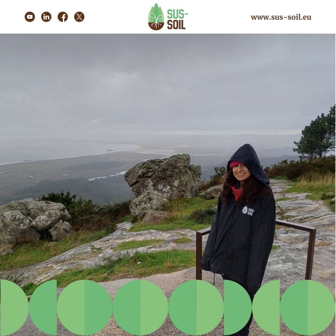 SUS-SOIL tweet media