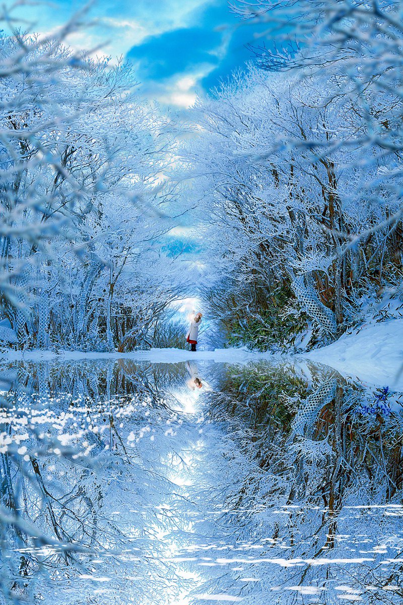 りこஐ:*@rico nanao tweet media