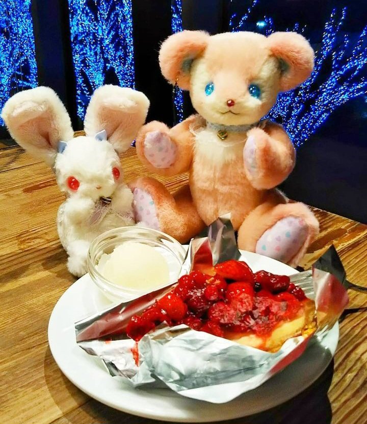 ユメミルうさぎ (@yumemirubunny) / Posts / X