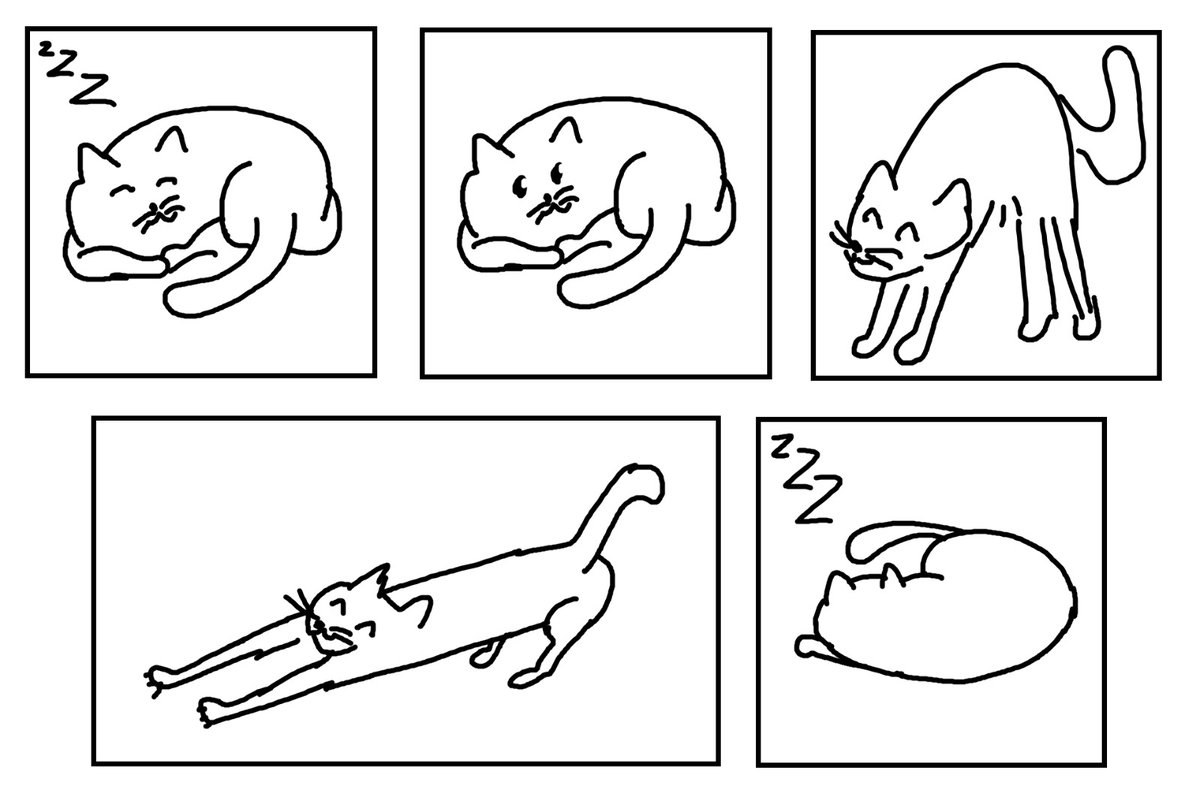 was die katze neben mir macht während ich arbeiten muss