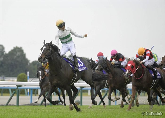 keibalab's tweet image. 【魂の咆哮】
#ソウルラッシュ
#団野大成  
#マイルチャンピオンシップ 
#ソウルラッシュ引退 
keibalab.jp/db/horse/20181…