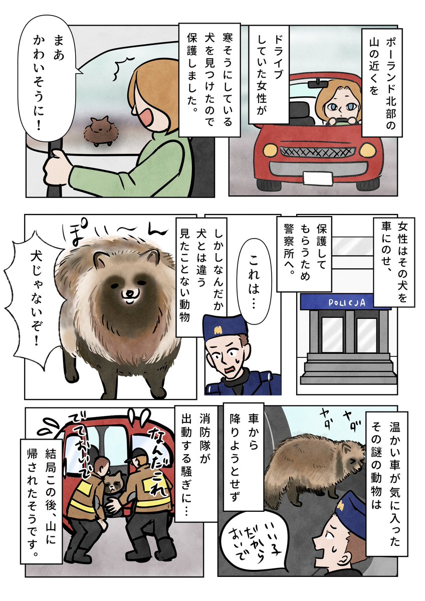 ミチル (@GZhVUh6AuKSlWVf) / Posts / X