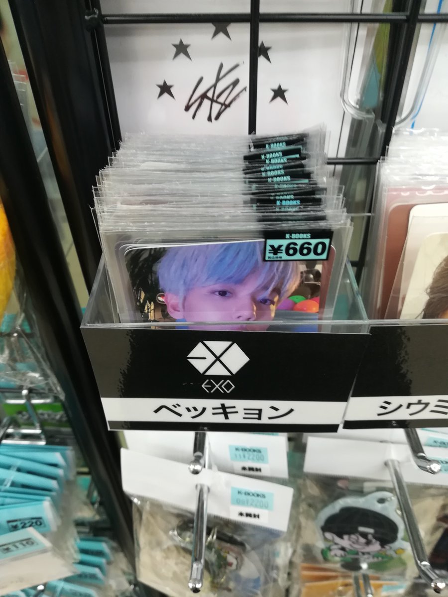 EXO BIRD トレカ チャニョル セフン ベッキョン EXO BIRD トレカ チャニョル セフン ベッキョン