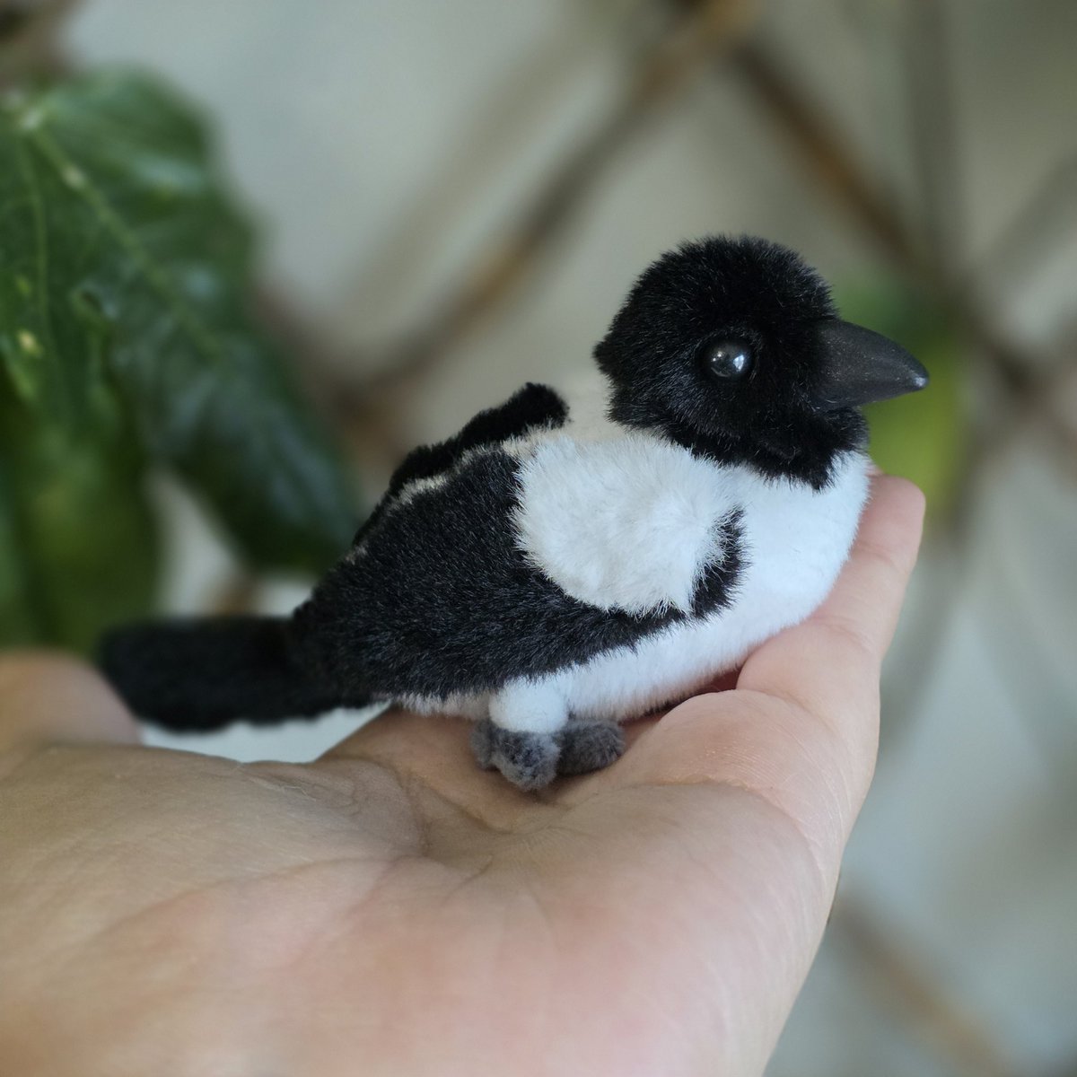 소소한 인형공방💕 tweet media