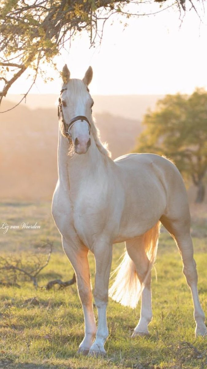 Earth Pictures 🌎🌎🌎 (@__earthpicture) on Twitter photo 