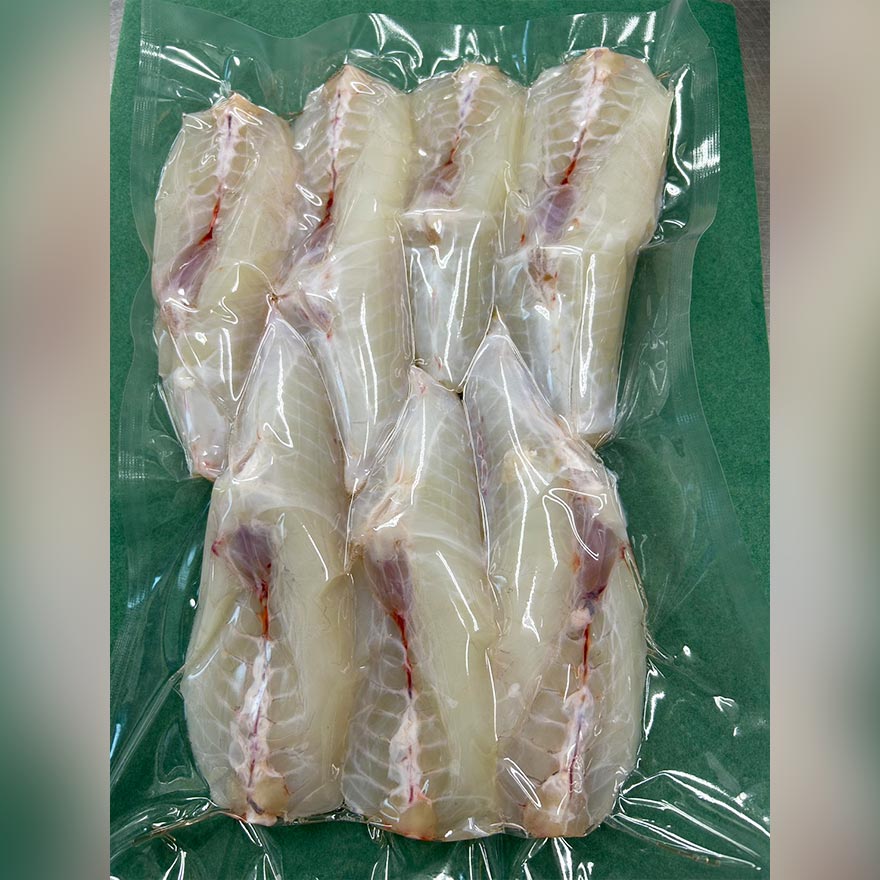 へんな魚おじさん (@_Sakana_Ojisan) / Posts / X