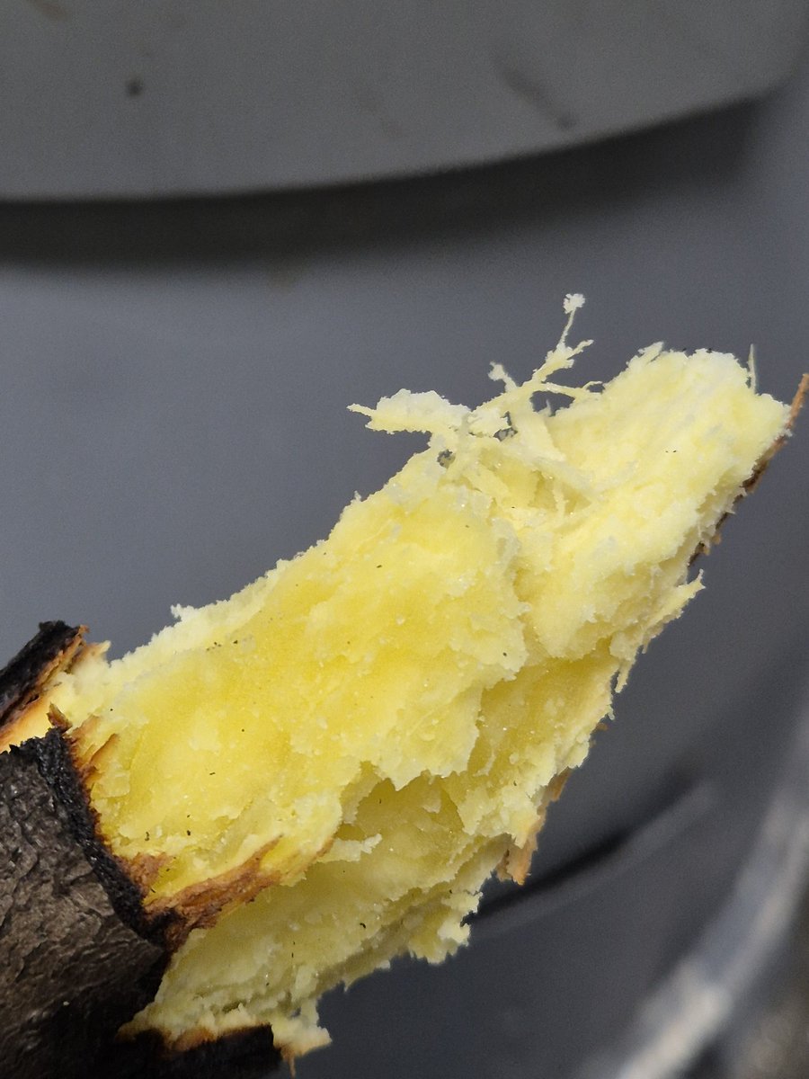 dopalpa's tweet image. 역시 고구마 는 군고구맛이
최고인든 싶다...