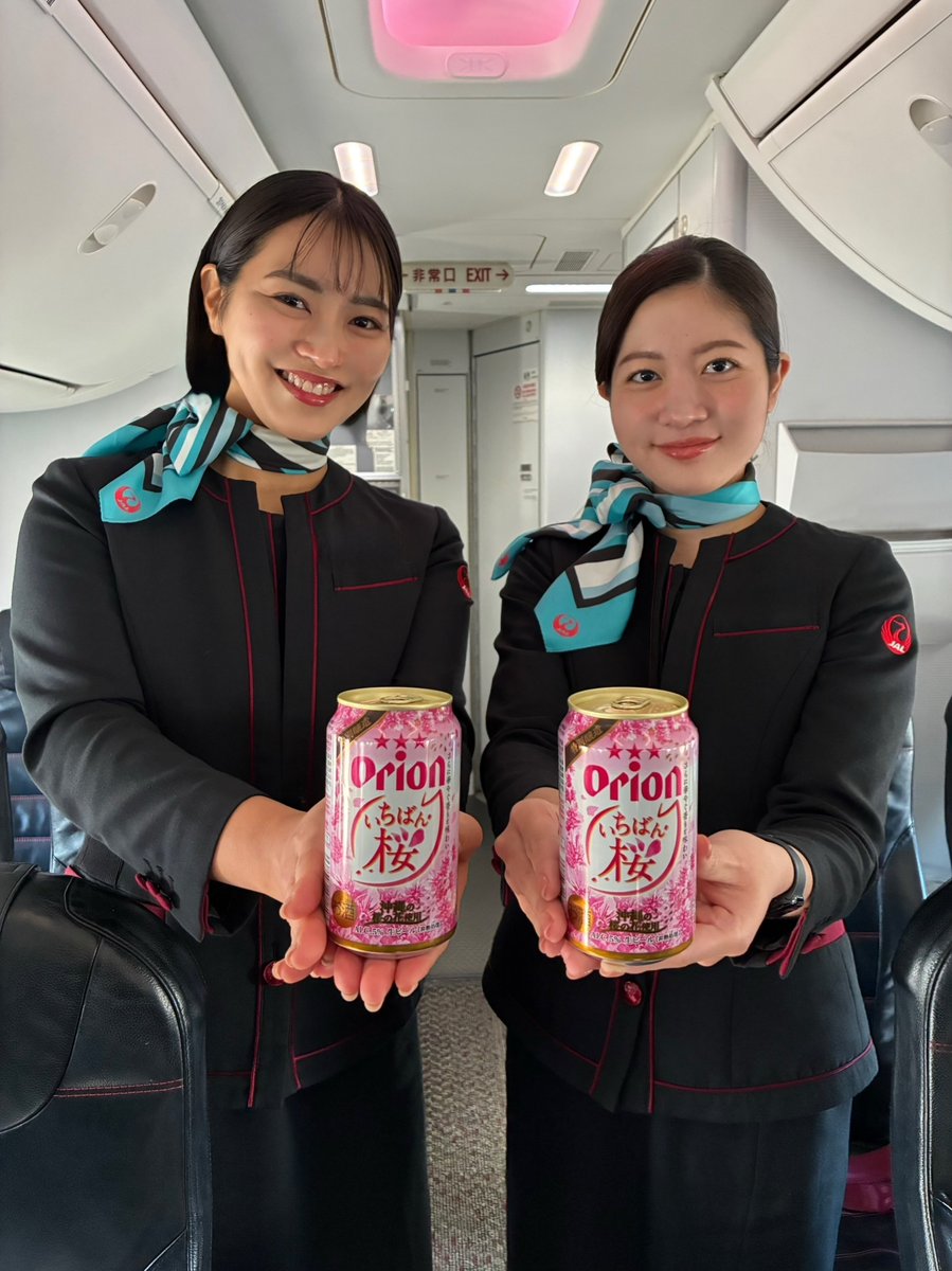 BACCAN ORBY 大サイズ　ピンク　一体のみ JTAの機内では季節限定で #オリオン いちばん桜を販売しております