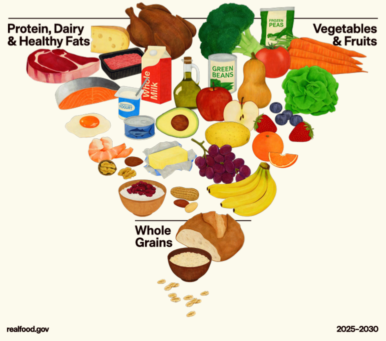 zoeharcombe's tweet image. I call the UK 'Eatwell Guide' the Eatbadly Guide.
How much worse does it look next to the revised US food pyramid?!