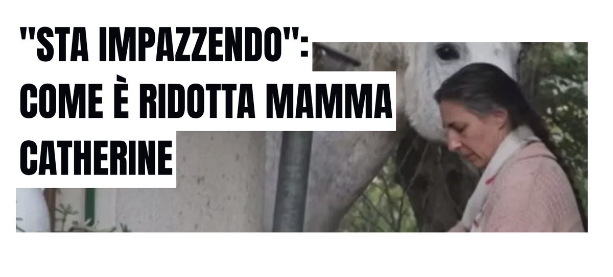 Un Semplice Cittadino tweet media