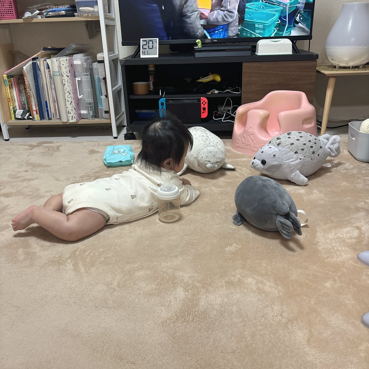 hokkai_azarasi's tweet image. 井戸端アザラシ
with ﾆﾎﾝｱｶﾁｬﾝ