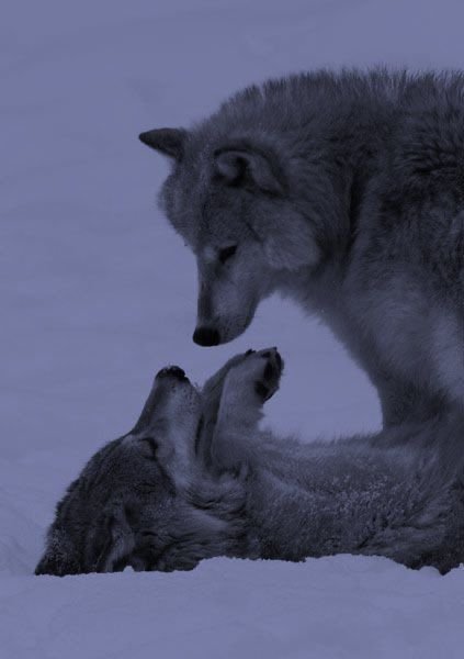 _timelesss_'s tweet image. you show me how deep love can be