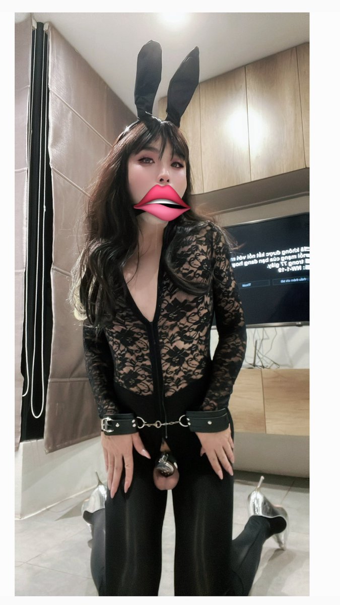 Xrosstarica tweet media