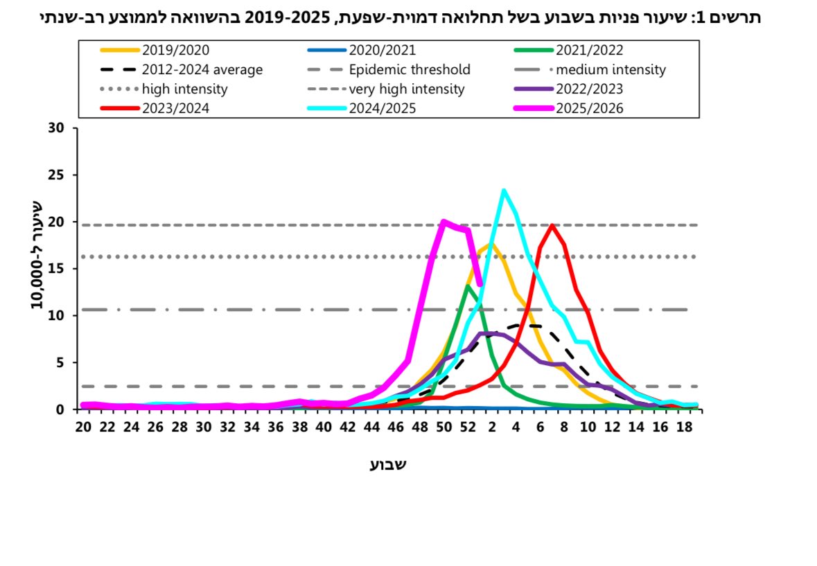 מיטל יסעור tweet media