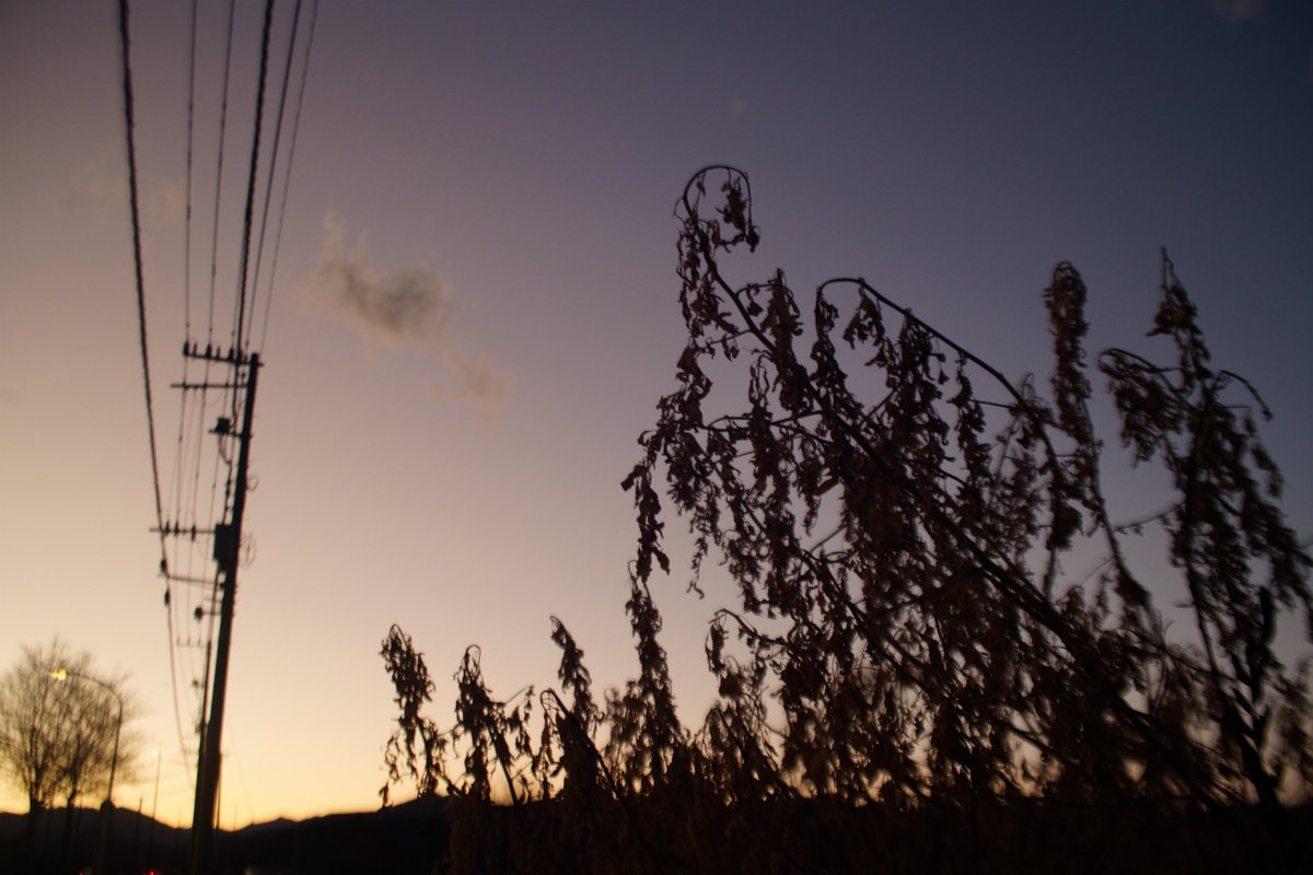 ピントが合ってる辺りでもうにゃうにゃするレンズ
二枚目みたいにクローズアップレンズをつければなんとか
三枚目は中央うにゃうにゃだけど周辺にいくと更にって感じ

(今日これしか持って行かなかったので💦💦)
SIGMA 35-70mmF2.8-4 FDマウント ジャンクレンズ

やっぱレンズって大事よね(*'▽')