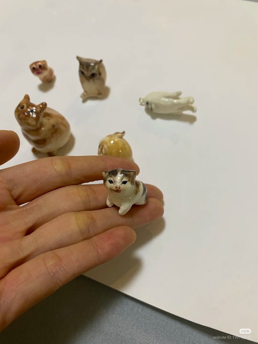 Why you should have a cat tweet media