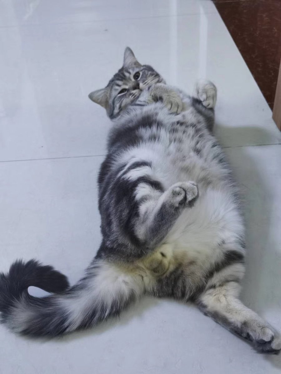 塔斯汀板烧凤梨堡 tweet media