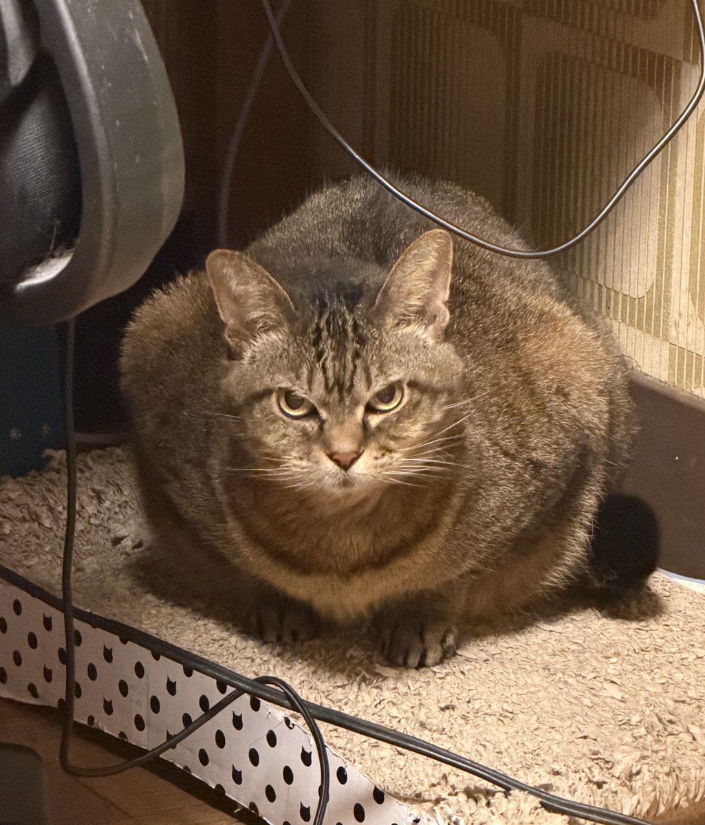 おくすりのめた直後だね