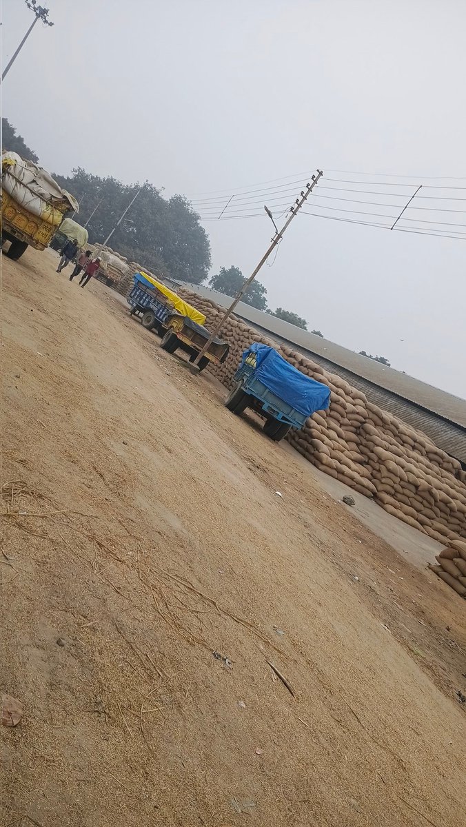 सरकारी केंद्रों पर पडा सन्नाटा किसान भटक रहे दर दर नहीं हो रही तौल ट्रालियों तौल के नहीं लगाये जा रहे अंगूठा एमओ मिथिलेश कुमार करते मनमानी किसानों को कौन दे सहारा 
<a href="/CMOfficeUP/">CM Office, GoUP</a> <a href="/dmhardoi/">DM Hardoi</a> <a href="/narendramodi/">Narendra Modi</a> <a href="/Bkukranti0/">Bhartiya Kisan union Kranti🇮🇳</a> <a href="/SANKIREPORTER1/">Print and Digital media</a> <a href="/CdoHardoi/">CDO Hardoi</a>
