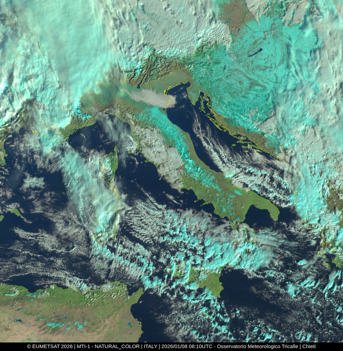 Kristijan Paljar tweet media