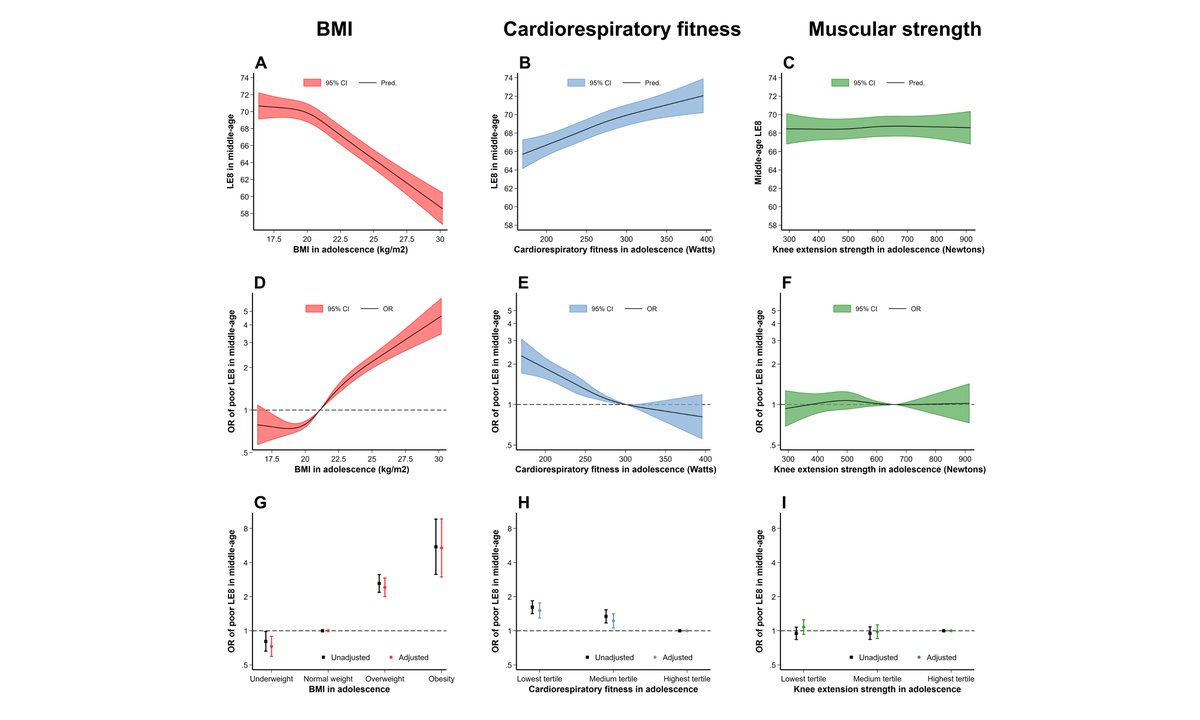 Ángel Herraiz Adillo tweet media
