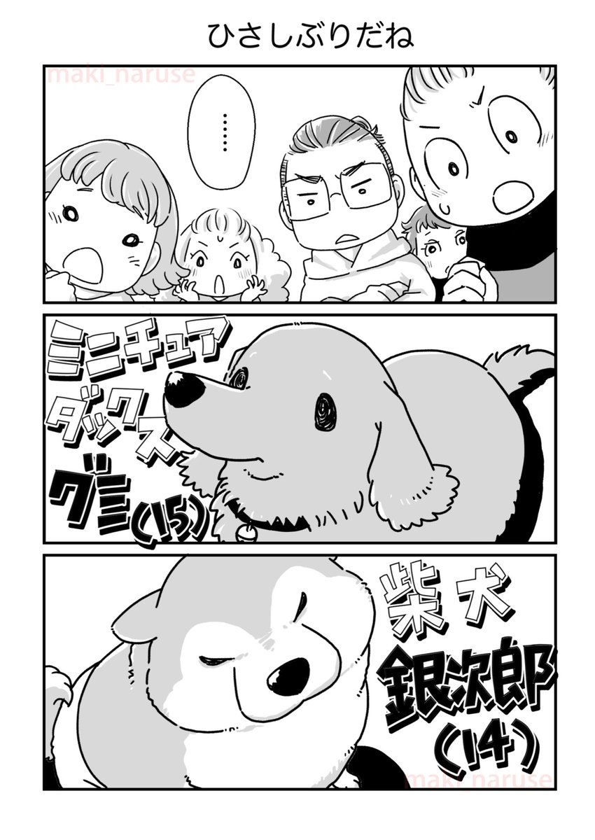 再会した老犬たちの漫画です(2/2)

#グミ銀
#グミ王子
#柴犬銀次郎
#真希ナルセ 