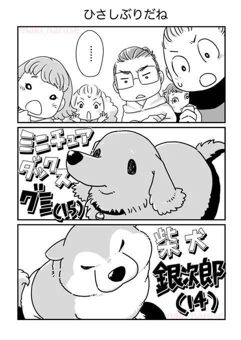 再会した老犬たちの漫画です(2/2)

#グミ銀
#グミ王子
#柴犬銀次郎
#真希ナルセ 