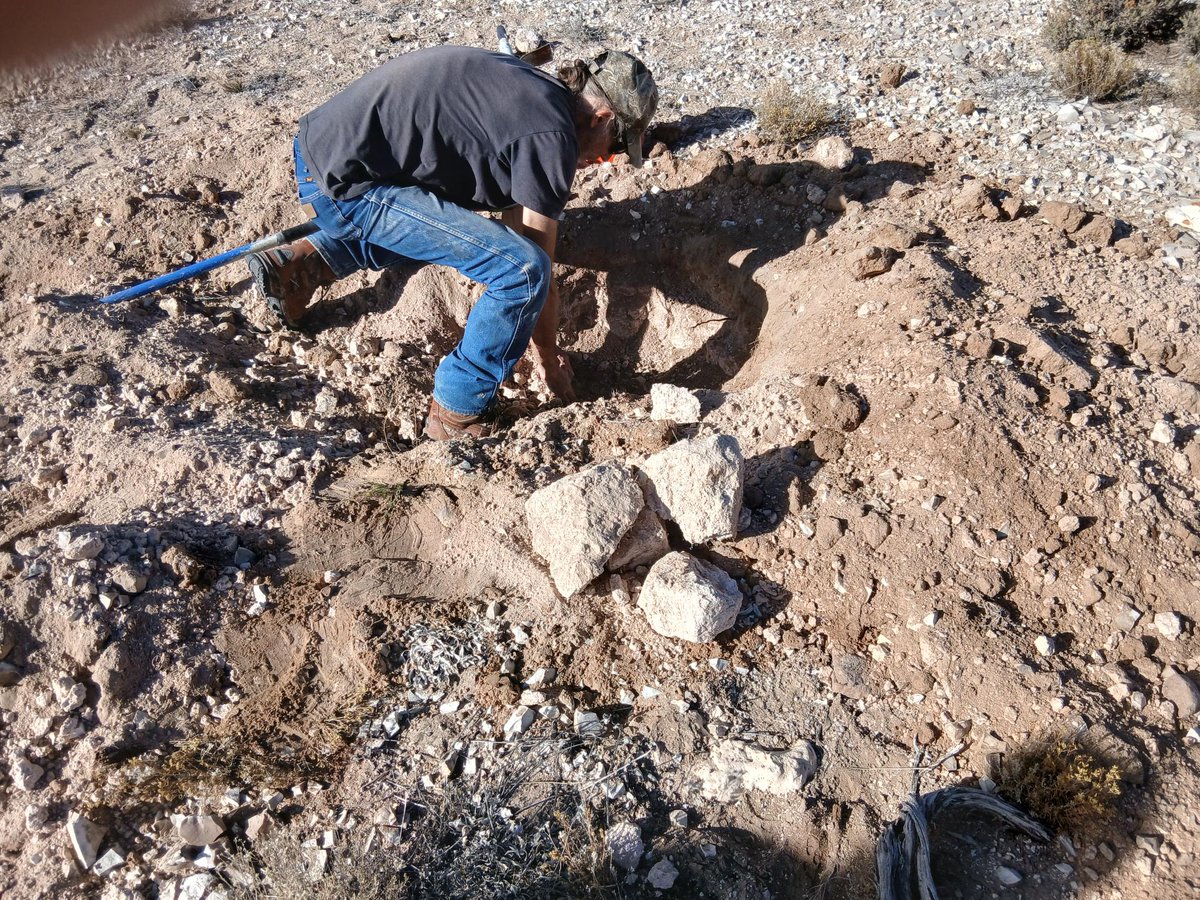 Sunrise Resources PLC tweet media