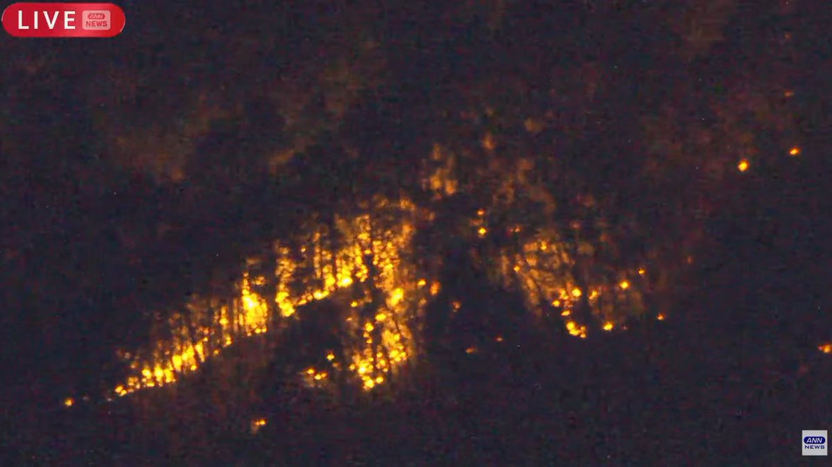 ライブカメラDB (@livecam_db) / Posts / X