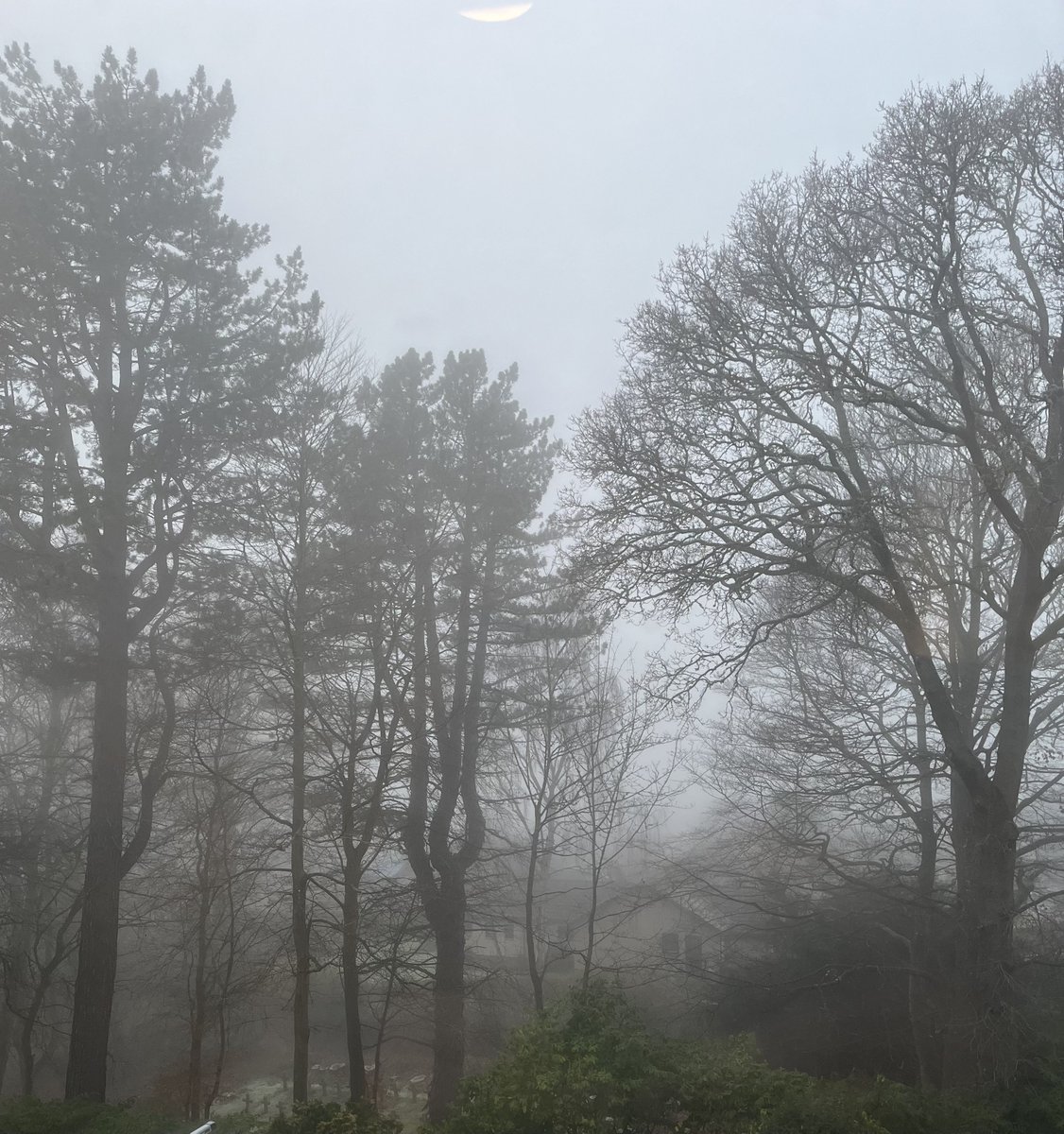 TCSafeguarding's tweet photo. A frosty misty start to the morning at St Mary’s Kinnoull Perth where we begin our safeguarding workshop exploring “AI and the implications for Safeguarding” .@RedemptoristsGB @redemptoristszw #CommittedToSafeguarding https://t.co/2binYeDUn8