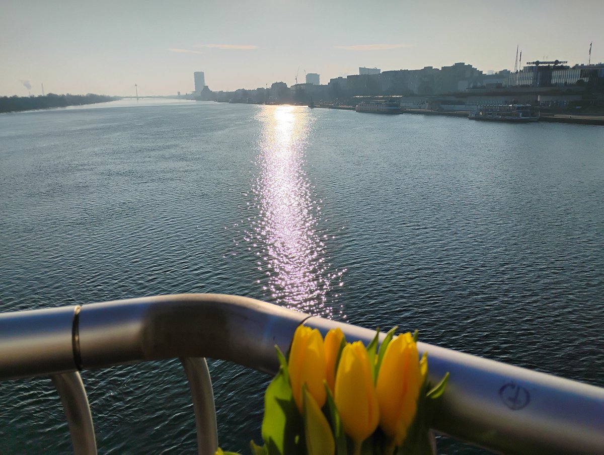 GLancereau's tweet image. 