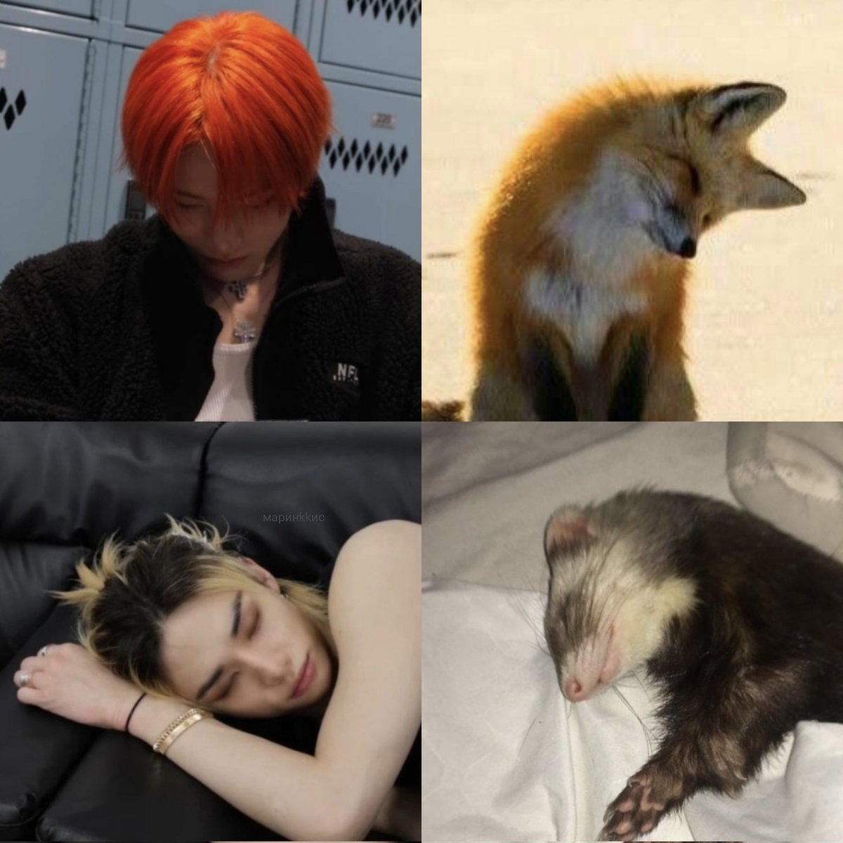 mysoulkimtae's tweet image. shhh! they're sleeping 💤