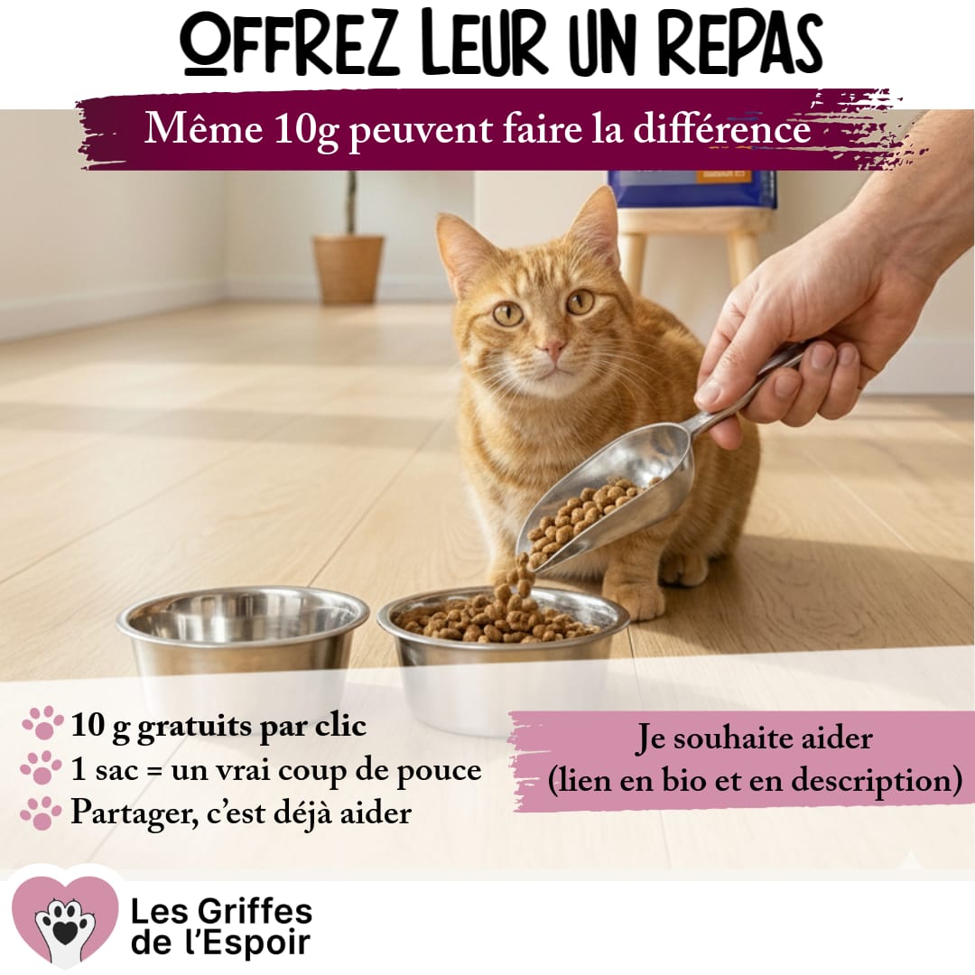 L'association des Griffes de l'Espoir à Nantes (44) a besoin d'un coup de main pour collecter des croquettes et lance sa campagne de collecte de croquettes afin de préparer le printemps 2026 où malheureusement encore trop de chatons vont naitre 😔

Un petit sac de croquette =