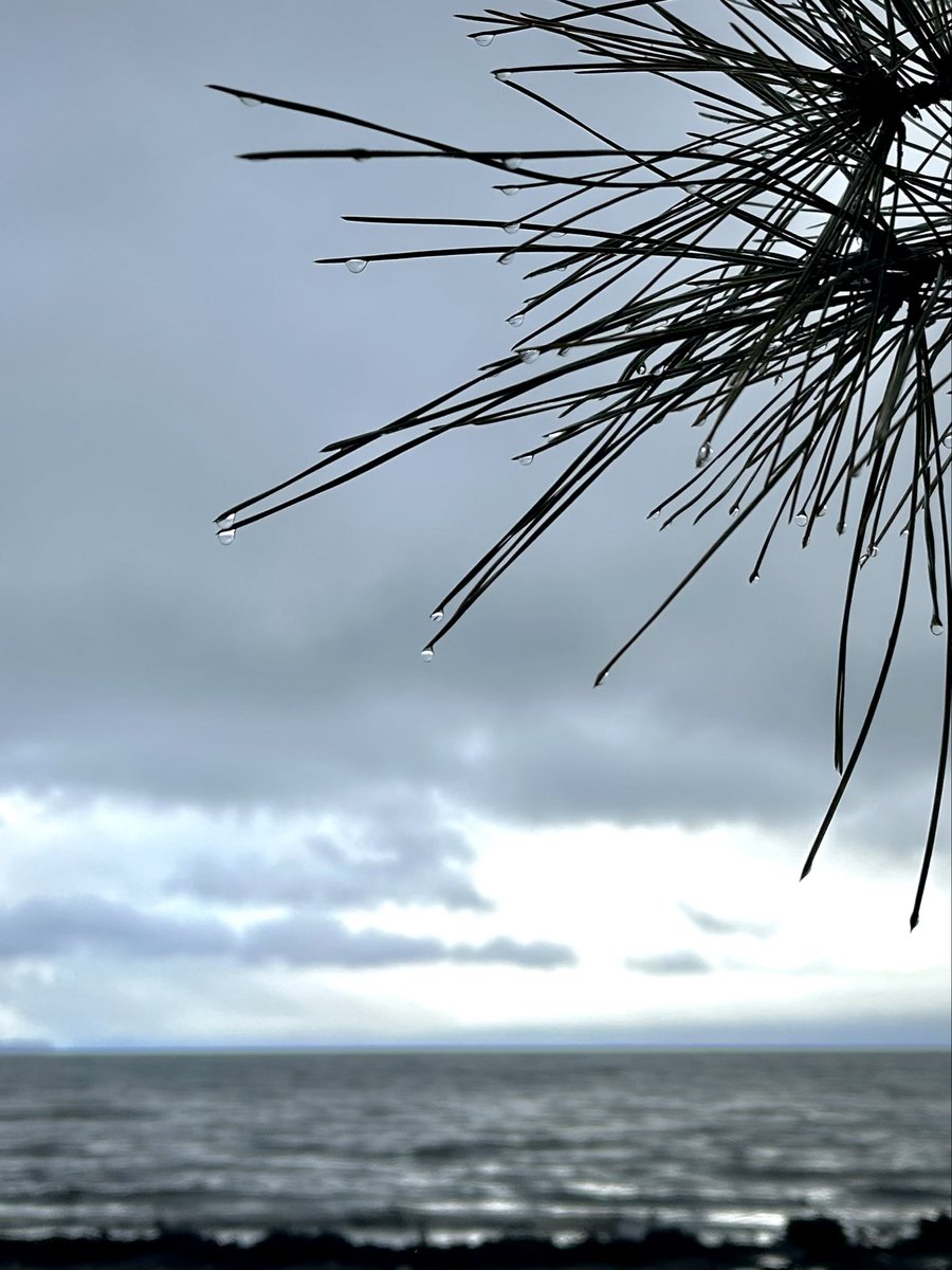 制作の取材で滋賀県長浜市に来た。
長浜城から見た琵琶湖。