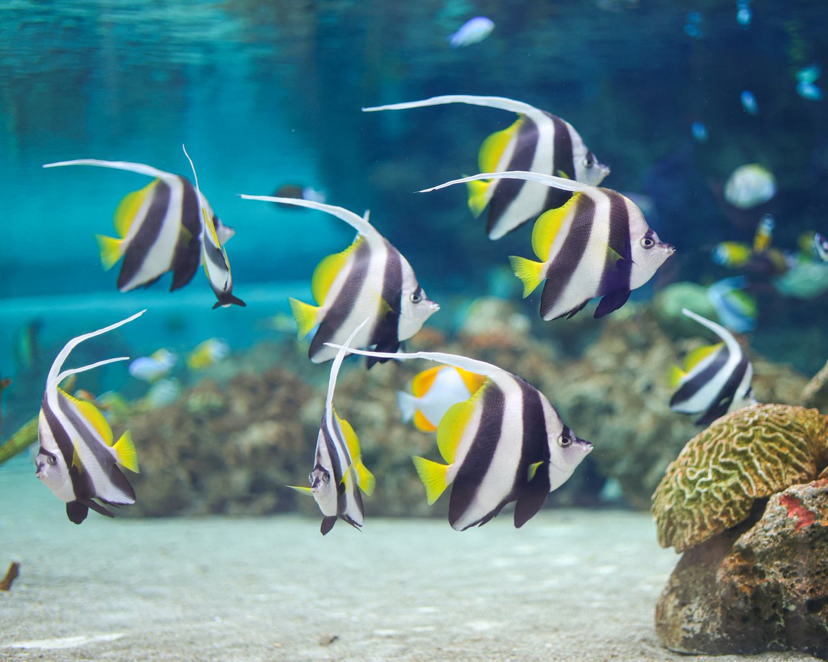 トロピカルアイランド」で冬から一気に南国へ！ 本物のヤシの木と