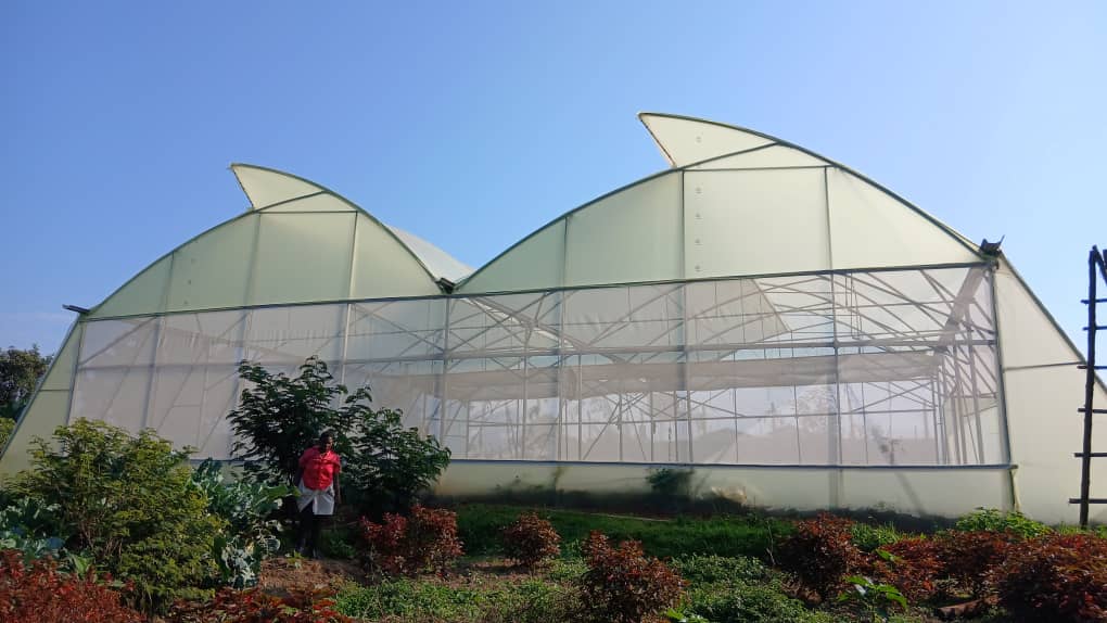 Holland Greentech Uganda tweet media