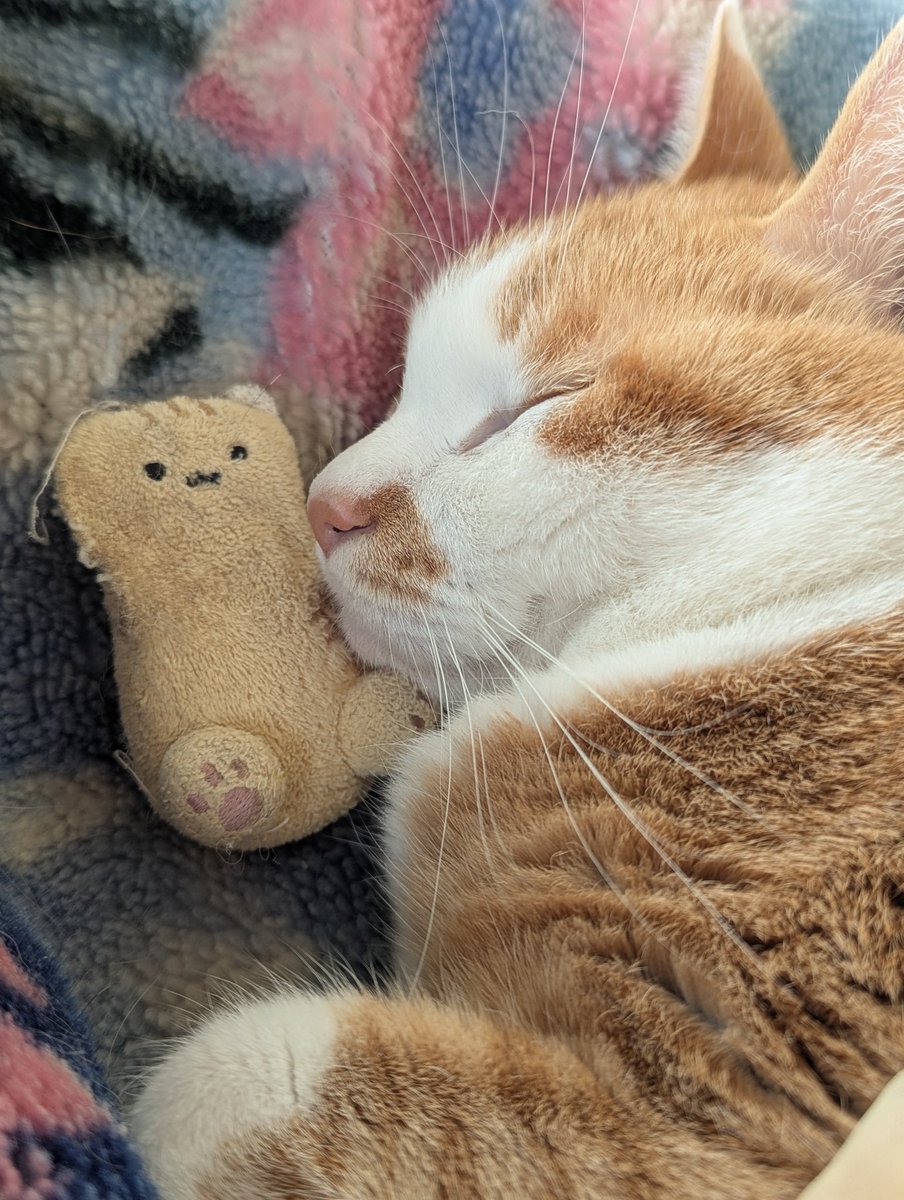 ちいさいとちいさいの優しい世界。