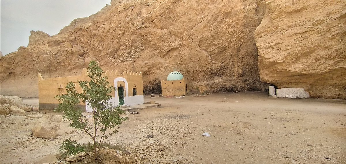 Mostafa Kamel altawaf tweet media