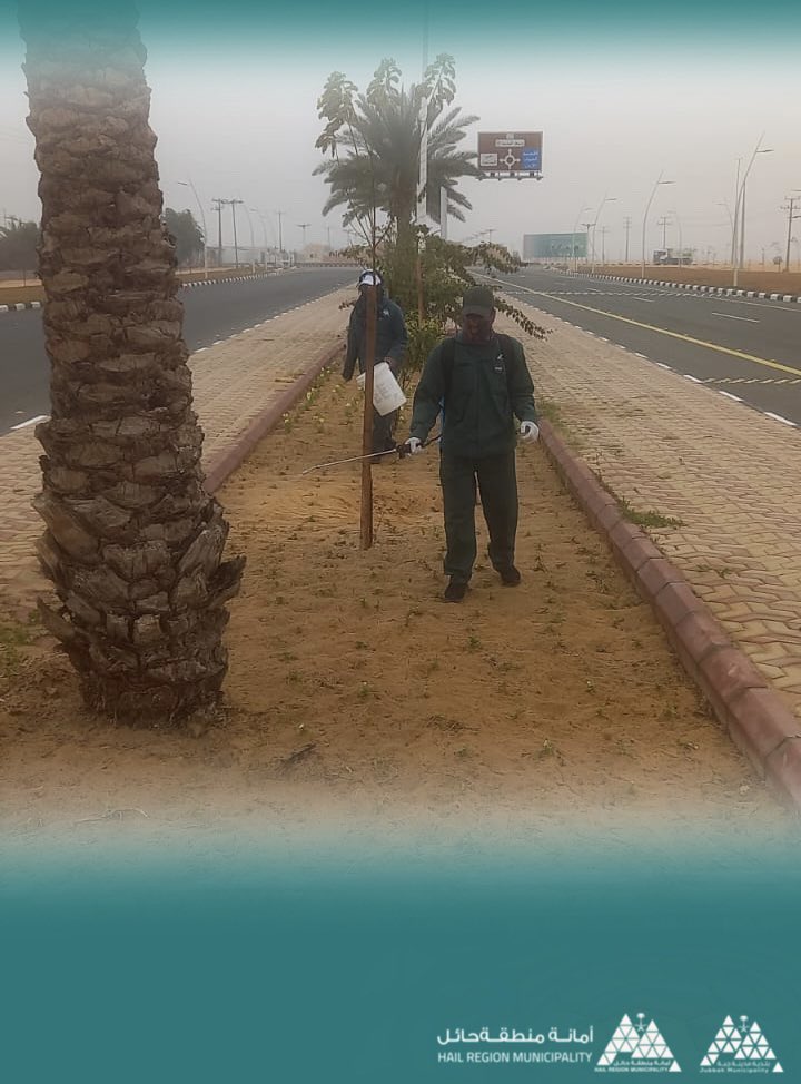 #ادارة_الخدمات  | 

أعــمــال قسم الـحـدائــق 
لتحسين المشهد الحضـري 
ومعالجة التـشوه البصــري

#بلدية_جبه