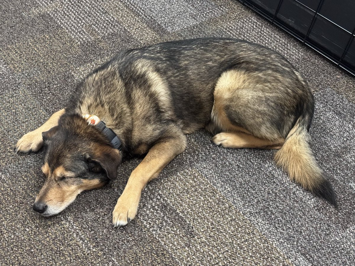 Jennifer Essler tweet media