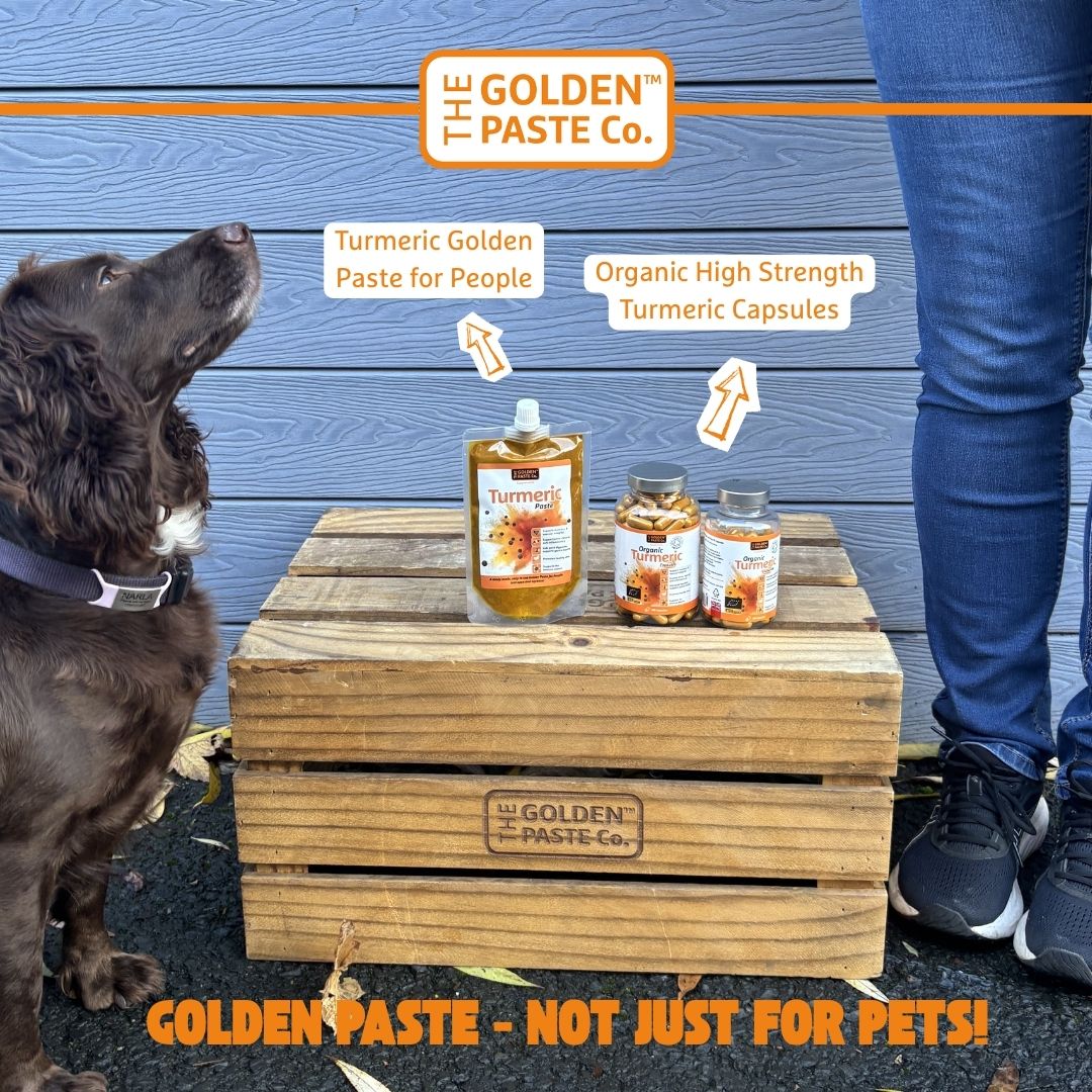 The GoldenPasteCompany tweet media