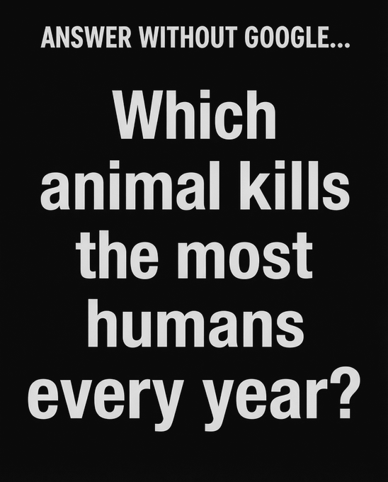 Rainmaker1973's tweet image. Answer without Google…

Which animal kills the most humans every year?