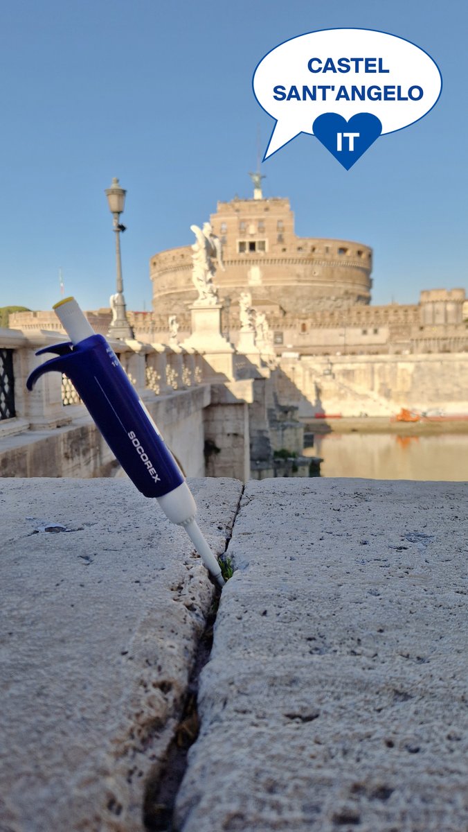 SocorexLabDivision tweet media