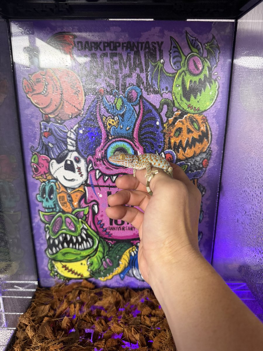 麻生絵夢 (@AsoEmu) / Posts / X