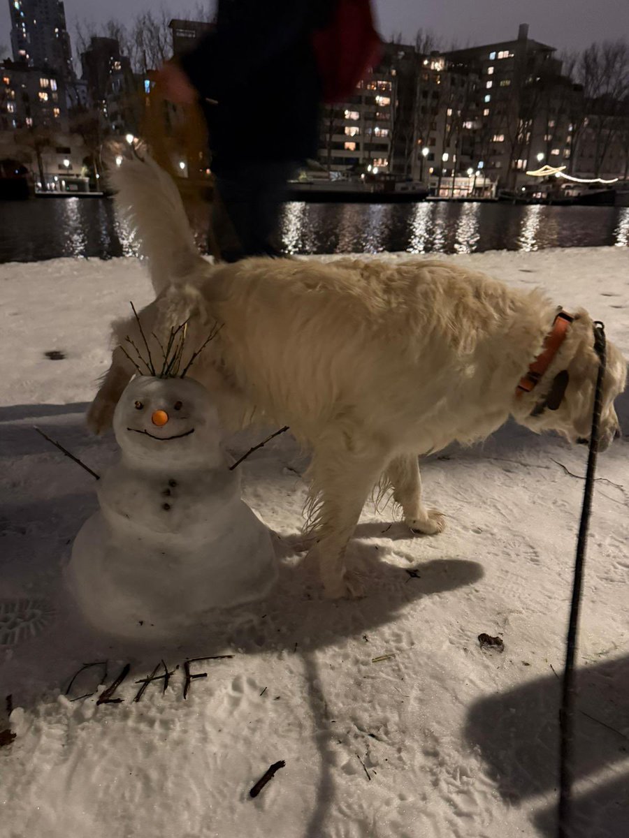 Gonzague 👨🏼‍💻 tweet media