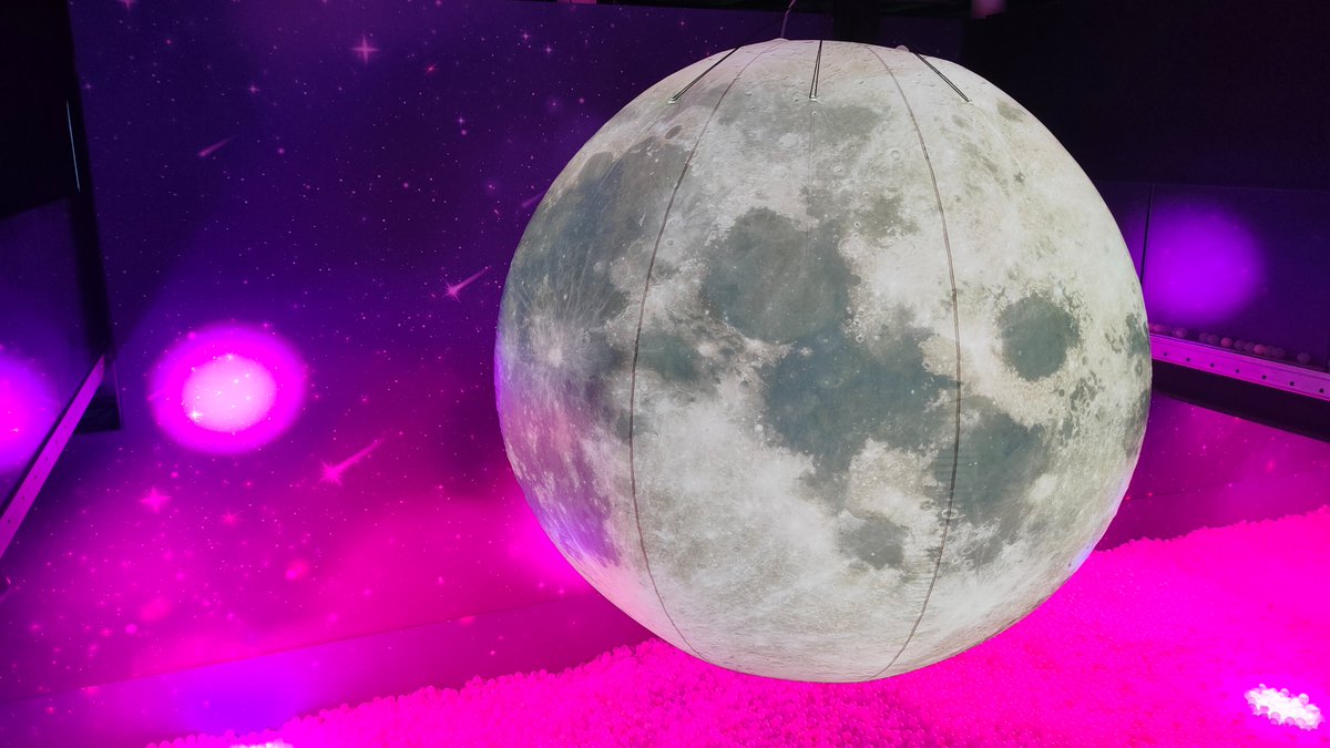 #Garlasco Occhi sulla Luna, il cerchio si stringe. Un leucocita c'è. Ma le emazie?youtube.com/post/UgkxgF0Hg… via <a href="/YouTube/">YouTube</a>