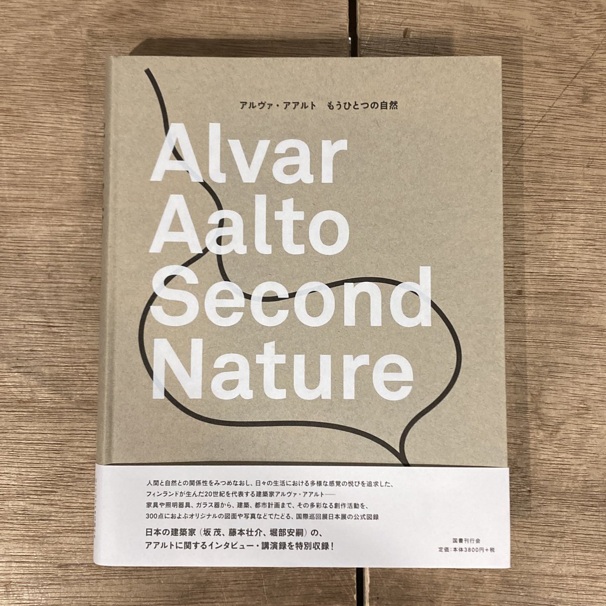 神奈川県立近代美術館 葉山などを巡回した展覧会の図録。たぶん同規模