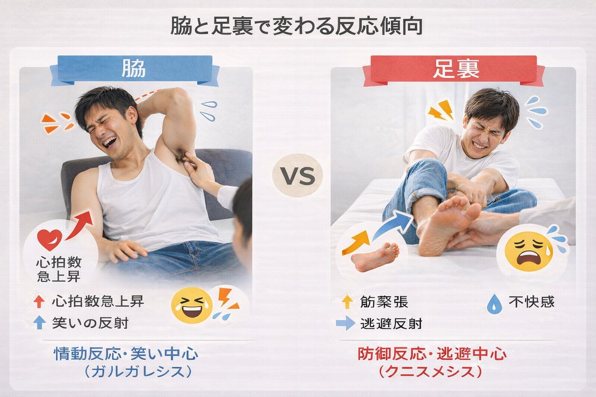 あっきー (@t_tkl_r) on Twitter photo 