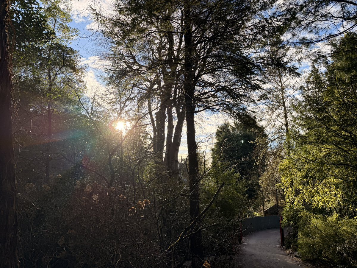 The Linn Botanic Garden tweet media