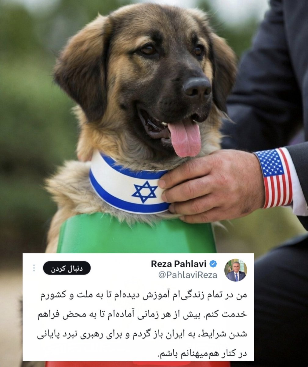 مُبارز tweet media